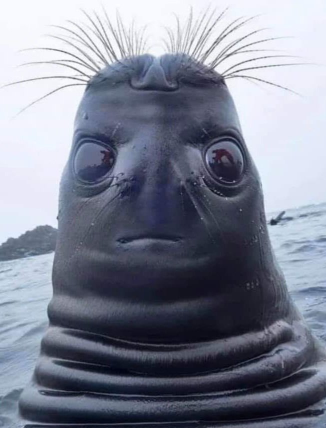 Tobacconation tweet media