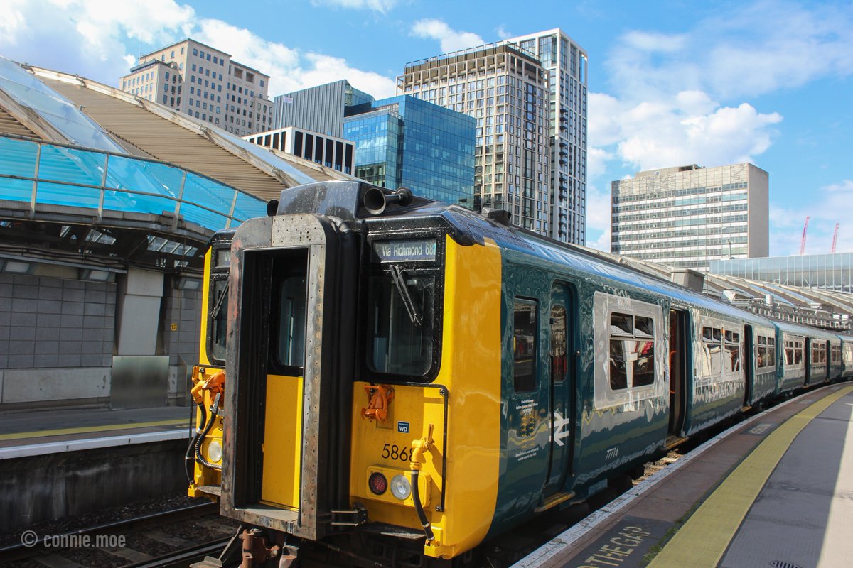 Connie 🏳️⚧️ tweet media