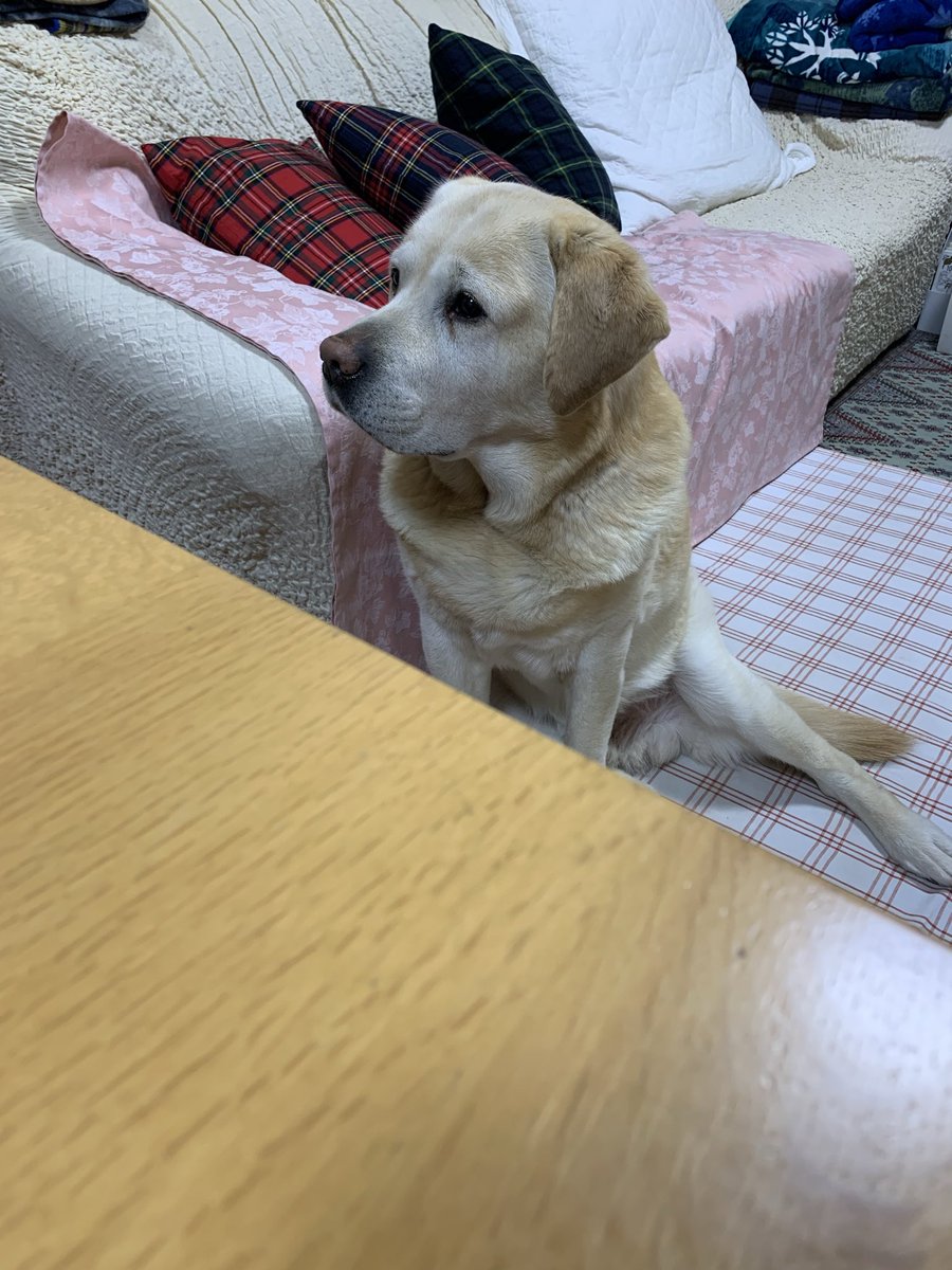 なんでそれもらえないんですか