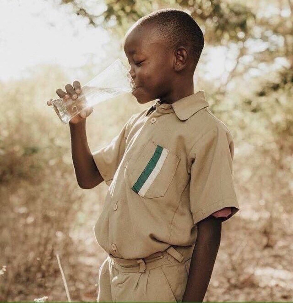 Jacity_the_Bee tweet media