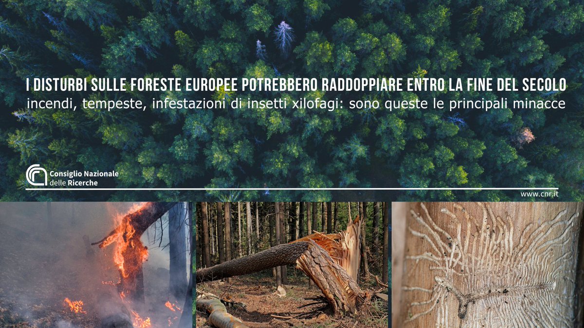 CNR Consiglio Nazionale delle Ricerche tweet media