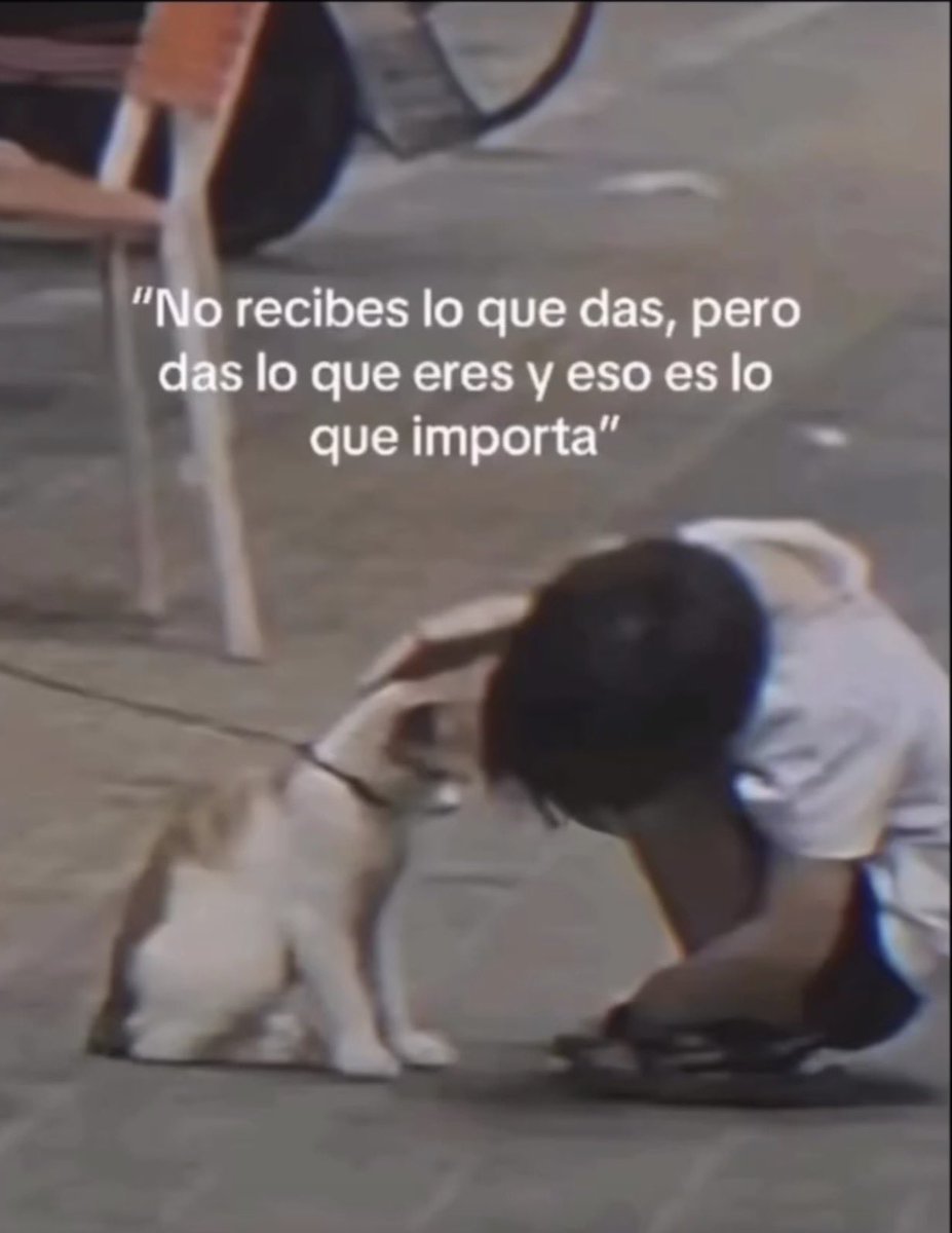 Mundo de Bigotes (@mundodebigotes) on Twitter photo 