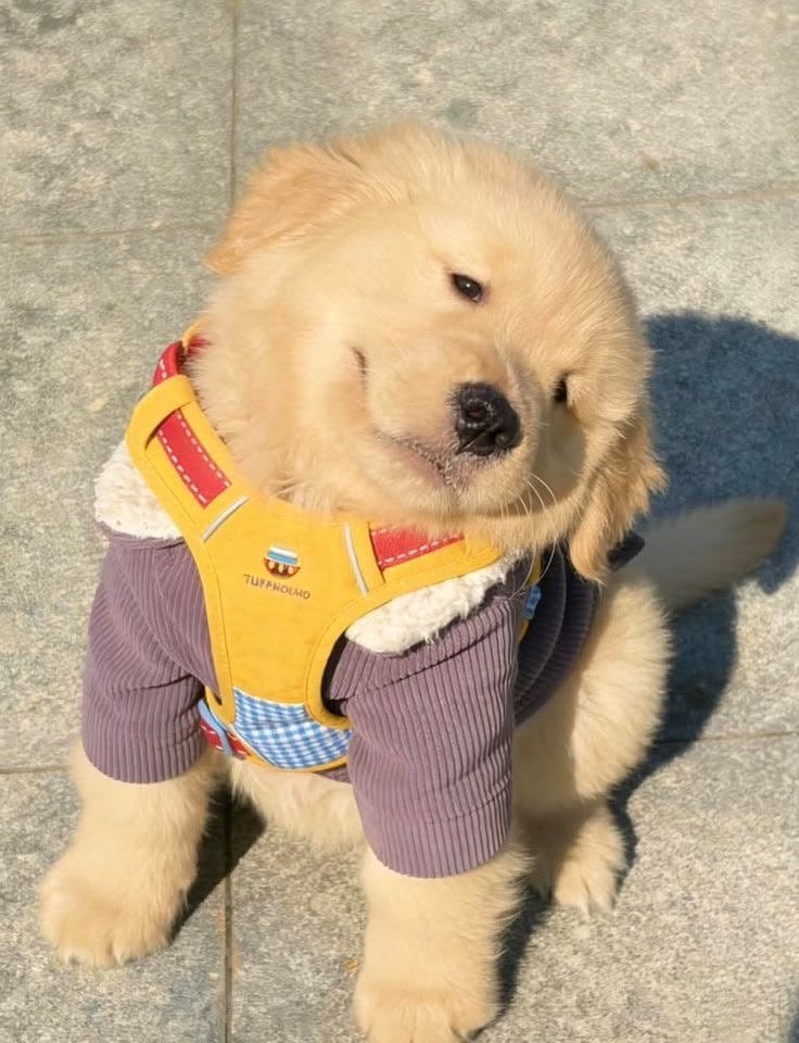 Deep Thoughts 💭 tweet media