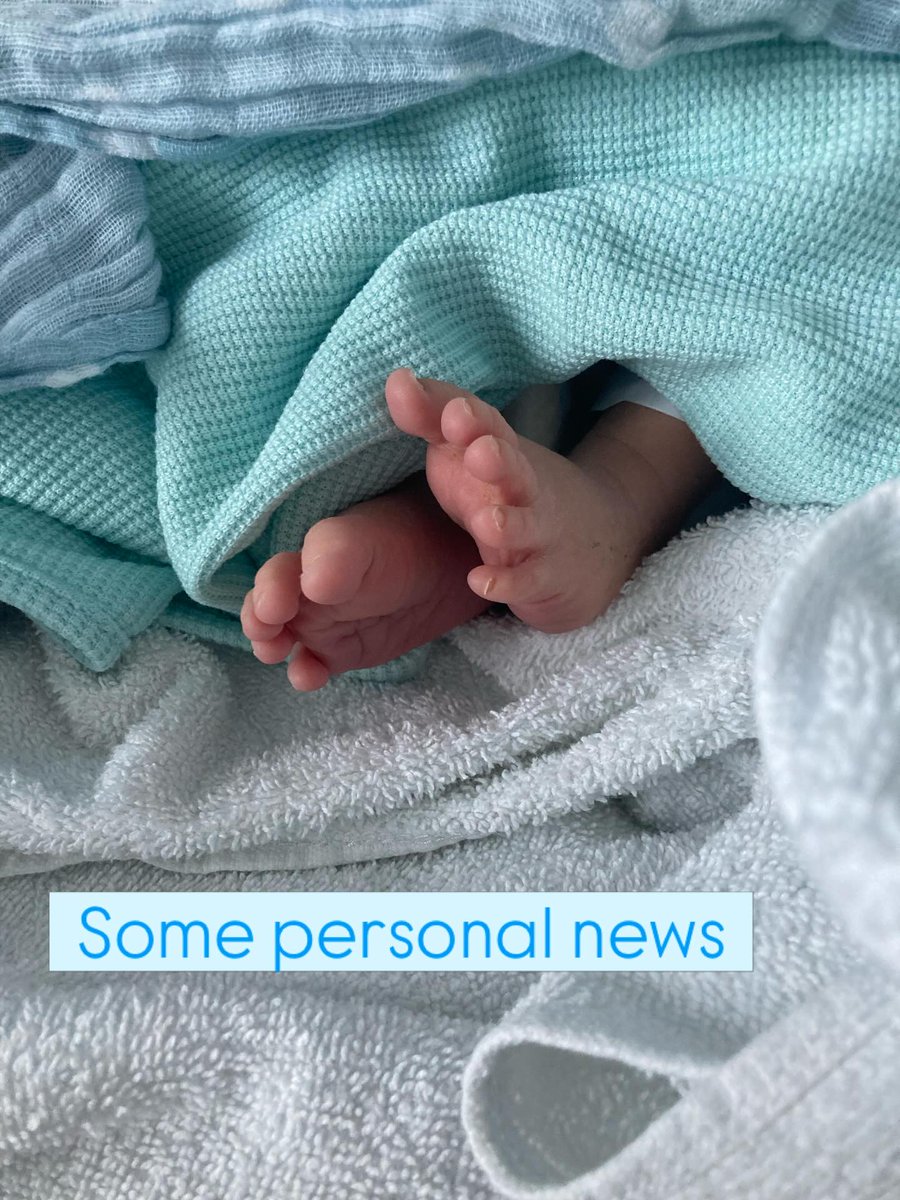 Alice Macdonald MP tweet media