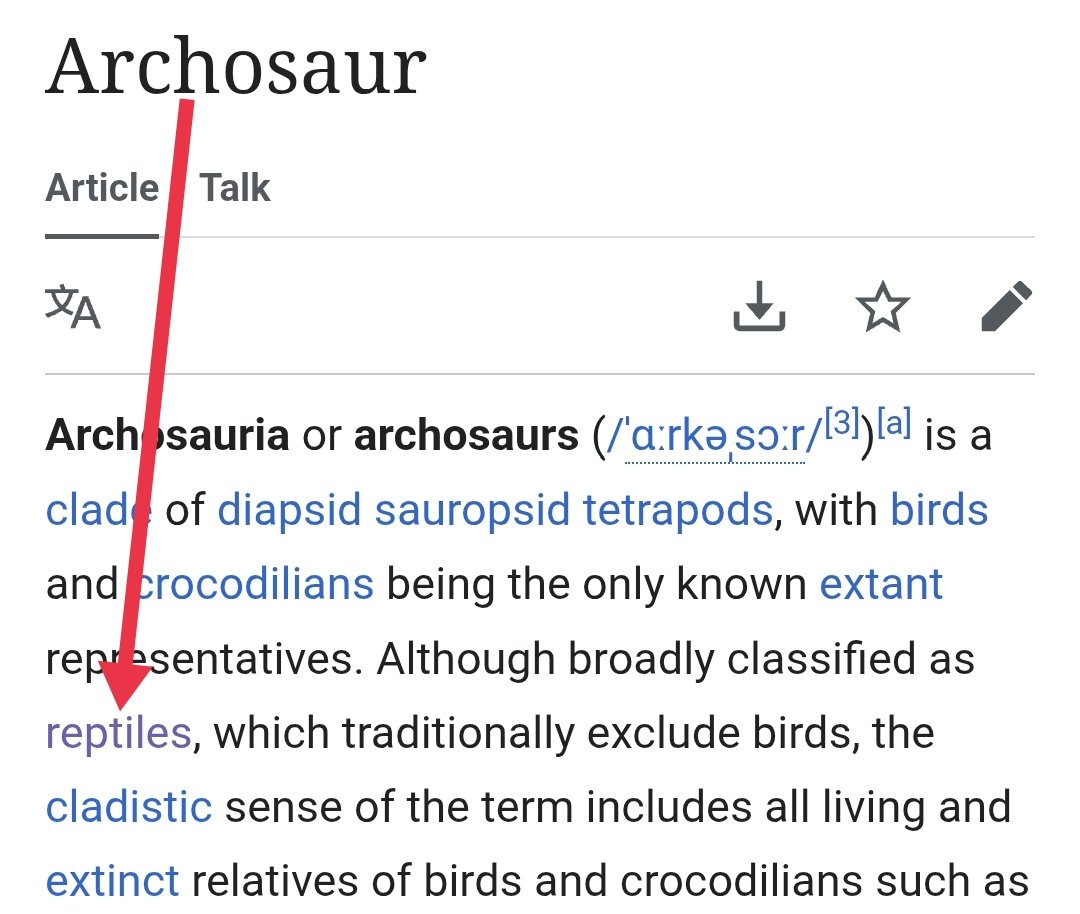 The Education of O tweet media