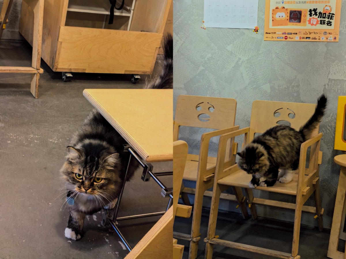 Amanda Krell tweet media