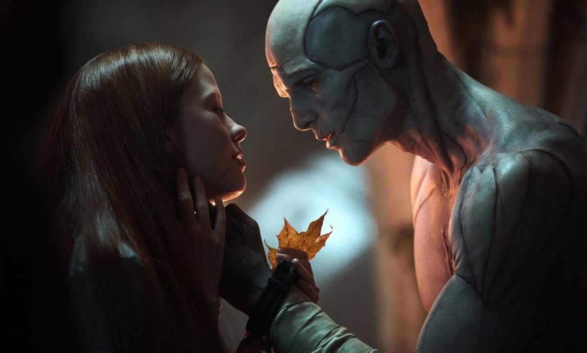 The Bloody Princess 🦇 tweet media