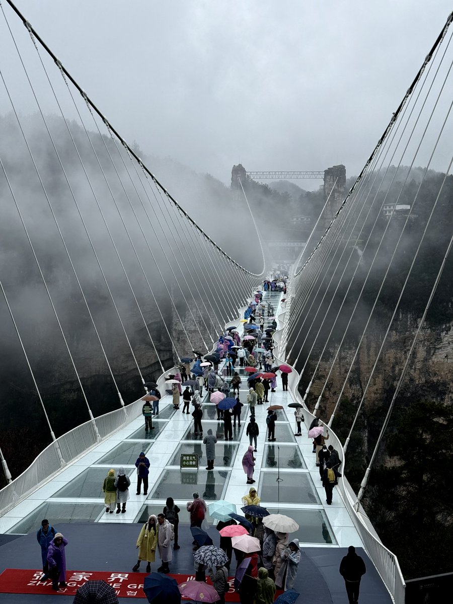 Caleb Franzen tweet media