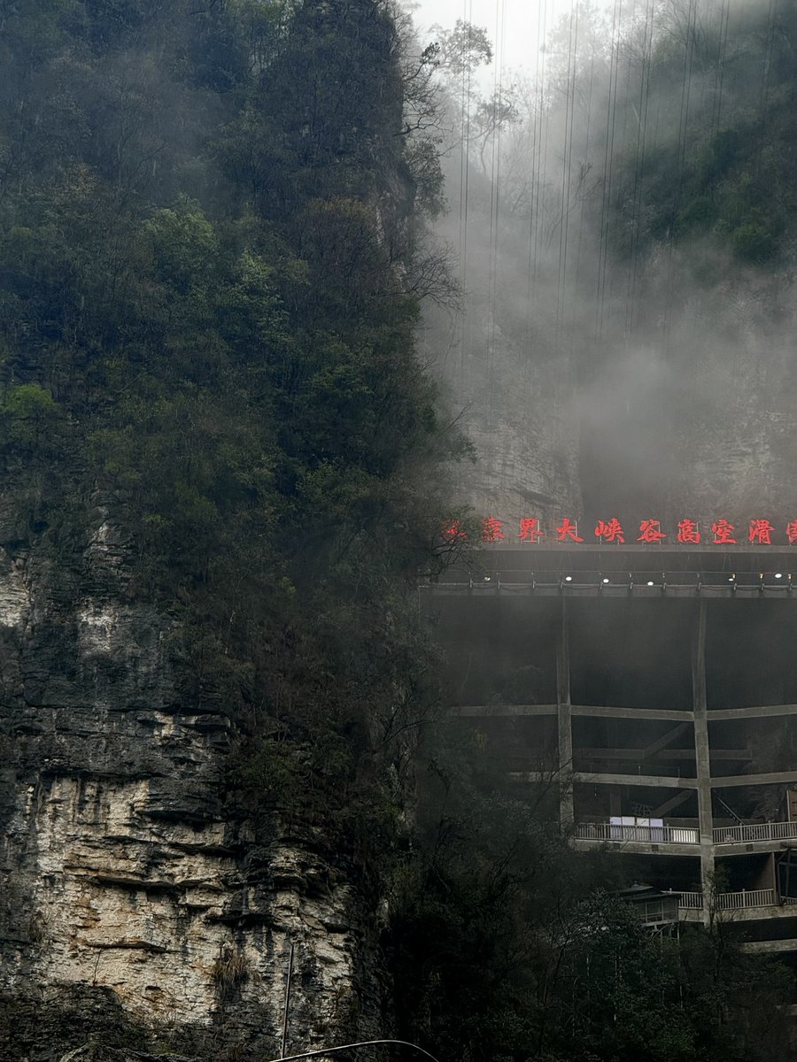 Caleb Franzen tweet media