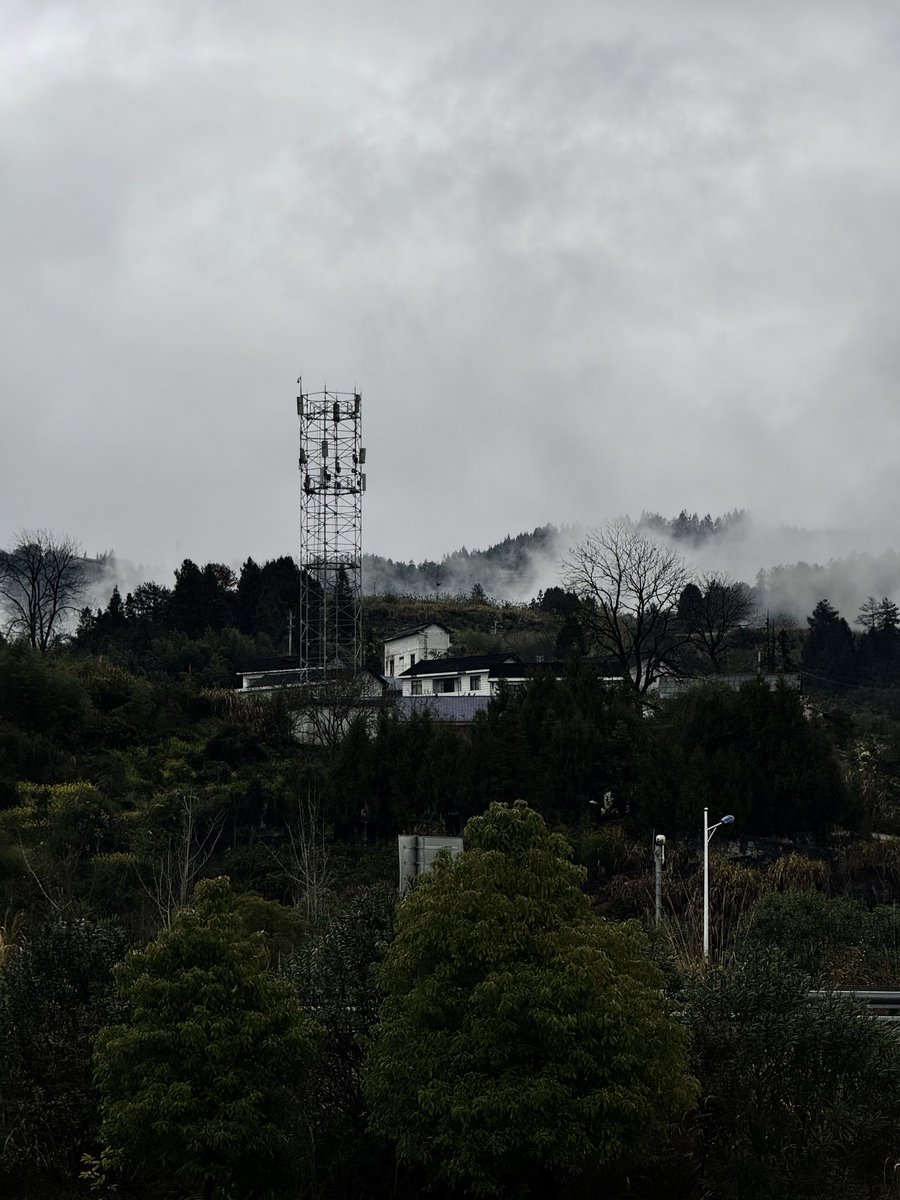 Caleb Franzen tweet media