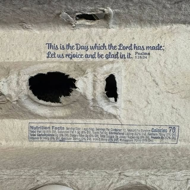 Trad West tweet media