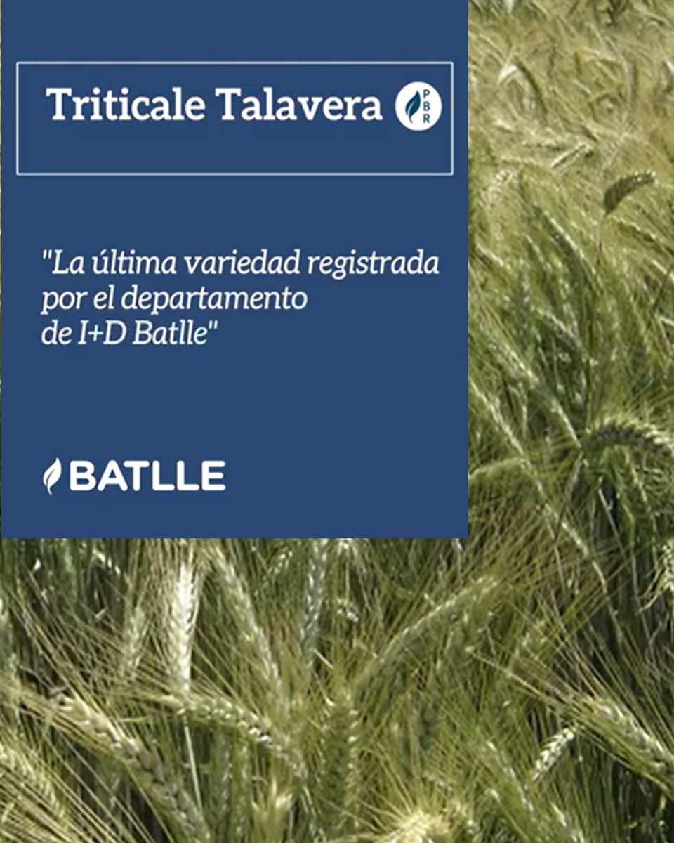 Infoagro tweet media