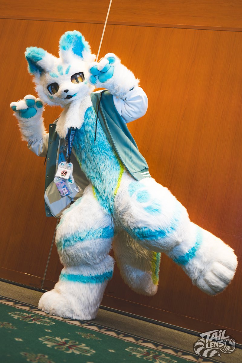 TailLens(テイルレンズ)🦝📸▶未定 tweet media