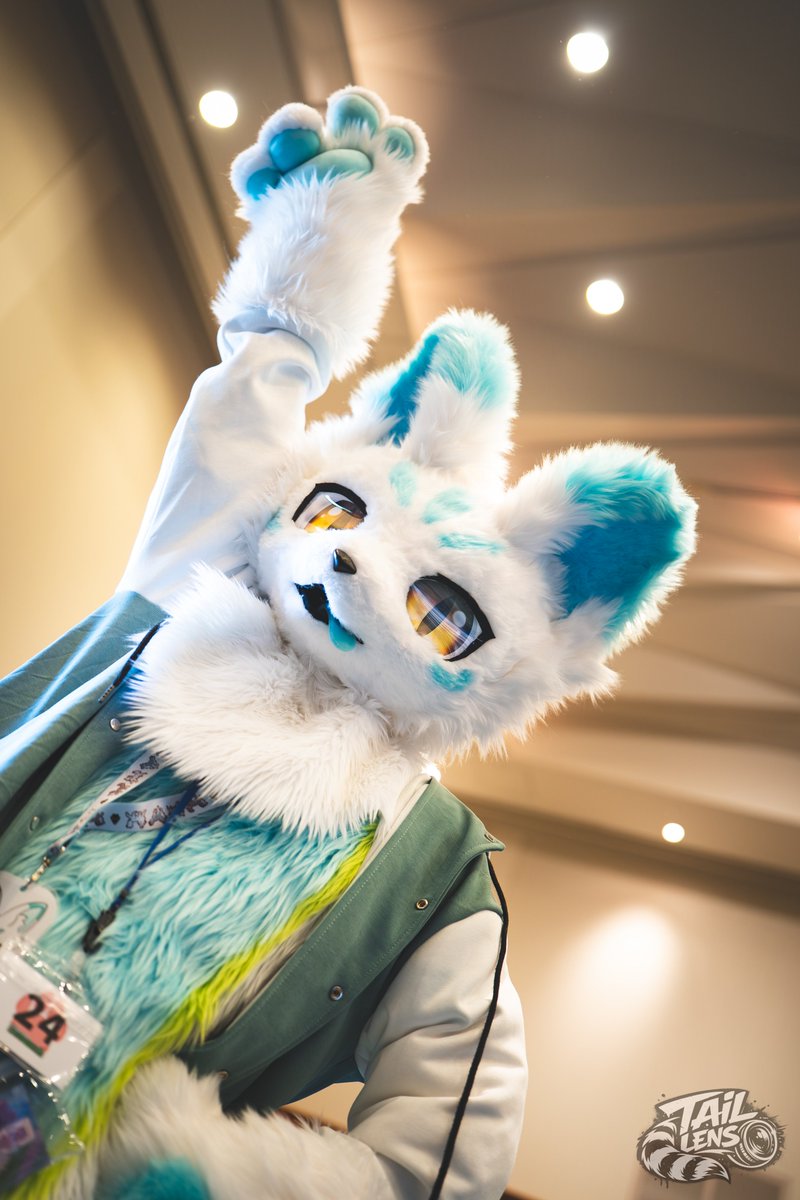 TailLens(テイルレンズ)🦝📸▶未定 tweet media