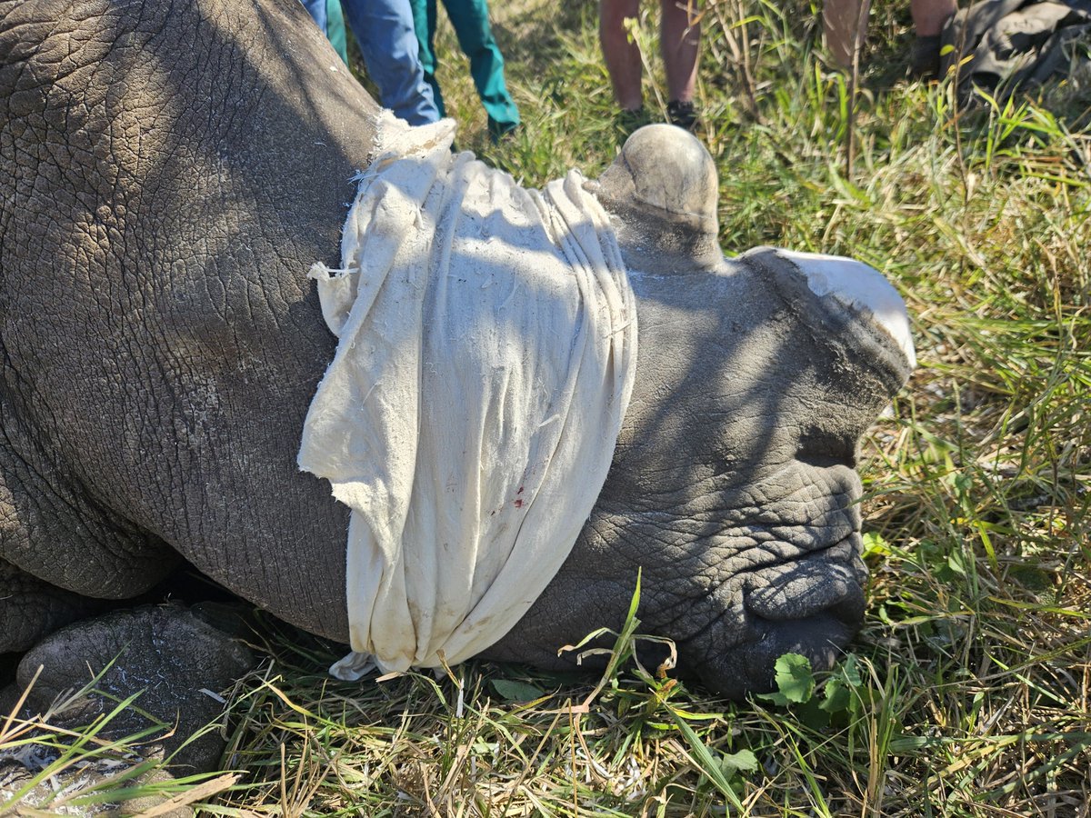 WildlifeACT Innovations tweet media