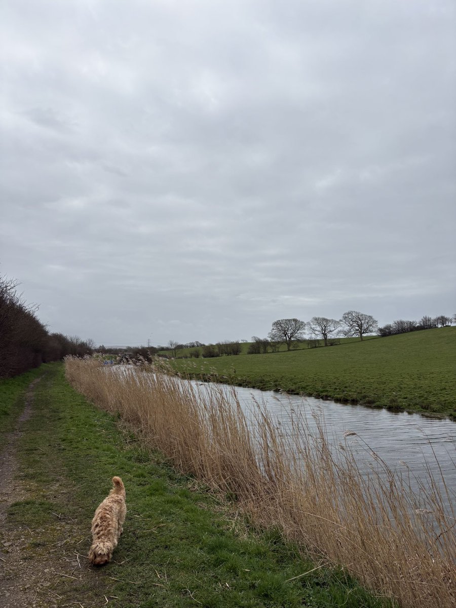 Zappamajor's tweet photo. Walkies❤️ https://t.co/j3mLXQgNHm