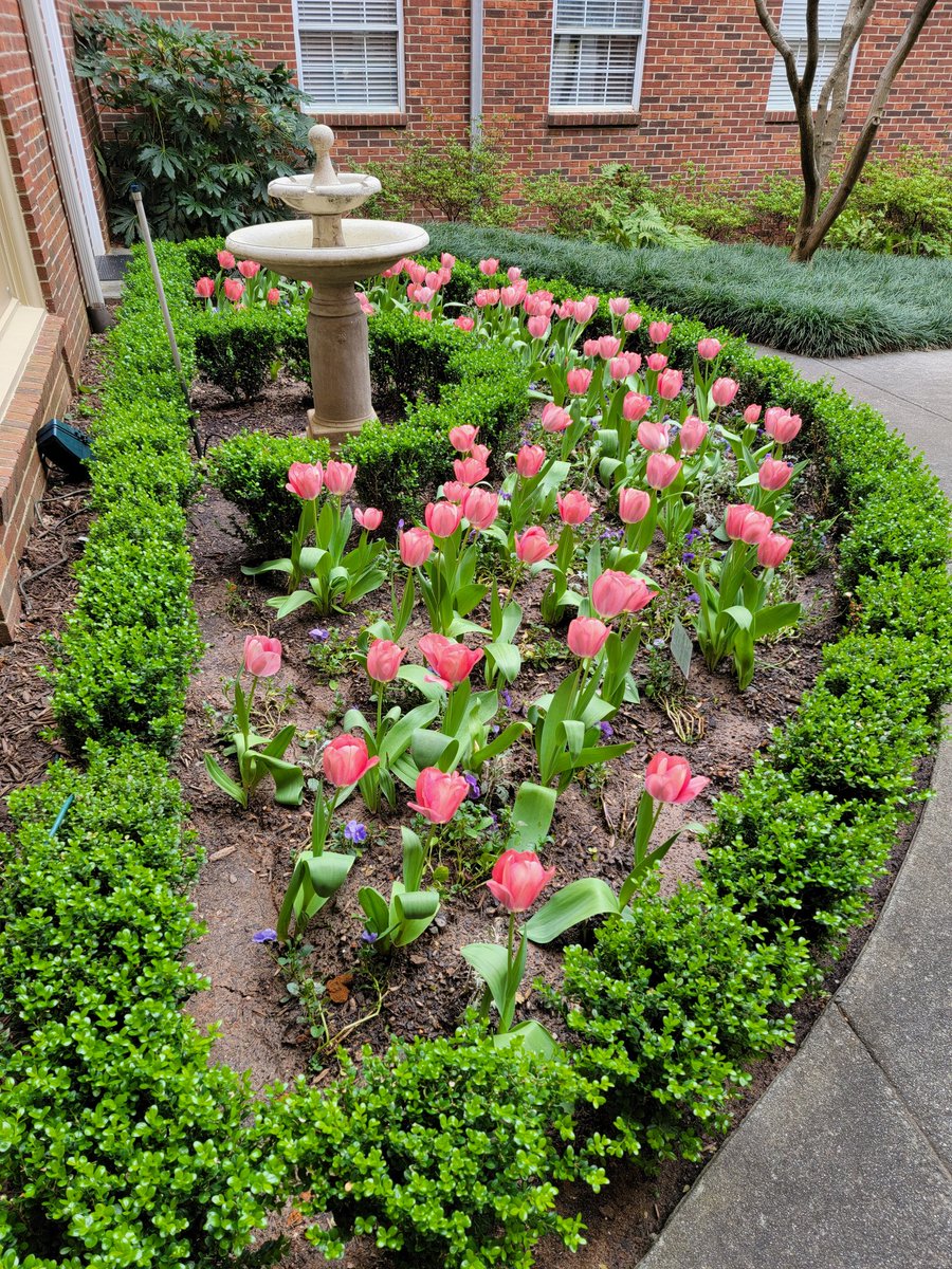 JB_Abner 📚☕️🖋️ tweet media