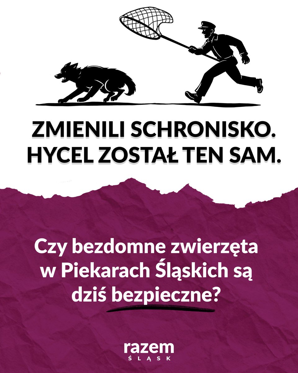 RazemSlask's tweet photo. Urząd Miasta Piekary Śląskie 29 grudnia 2025 wydał zawiadomienie o wyborze najkorzystniejszej oferty na wyłapywanie bezdomnych zwierząt z terenu miasta i przewożenie ich do wyznaczonego schroniska. Decyzja ta skutkowała podpisaniem umowy ze zwycięzcą przetargu. Choć na pierwszy rzut oka taka procedura jest standardowa, to w tym przypadku budzi ona ogromny niepokój. 
W czym tkwi problem? W tym, że firmą, która wygrała przetarg https://t.co/45umXx243R. dzięki najniższej cenie wykonywanych usług, należy do Anny K. – byłej zarządczyni schroniska w Bytomiu. Przypominamy: działalność K. jest obecnie przedmiotem prokuratorskiego dochodzenia. Zarzuty dotyczą nieprawidłowości, które kładą się cieniem na standardach opieki nad bezdomnymi zwierzętami.
Pracownik Urzędu Miasta w Piekarach Śląskich przyznał wprost, że współpraca z Anną K. jest dyskusyjna. Dlaczego więc trwa? Miasto tłumaczy się finansami – zerwanie umowy groziłoby karami, na które Piekary rzekomo nie mogą sobie pozwolić.
Pytania, które muszą paść:
✍️Dlaczego w ogóle ta umowa została podpisana? Niepokojące informacje o działalności byłej zarządczyni płynęły z Bytomia na długo przed ogłoszeniem zwycięzcy przetargu. 
💵Gdzie była weryfikacja? Czy najniższa cena lub formalna poprawność oferty są ważniejsze niż bezpieczeństwo żywych istot?
🚨Kto weźmie na siebie moralną odpowiedzialność? Jeśli w trakcie trwania umowy dojdzie do zaniedbań, kto odpowie za cierpienie zwierząt oddanych pod tymczasową opiekę firmy z tak kontrowersyjną reputacją?
Rozumiemy obawy miasta dotyczące finansów, ale etyka i empatia nie powinny mieć ceny. 
Zwierzęta nie mają głosu, dlatego my musimy być ich głosem i dbać o ich dobrostan. 
Uważacie, że Piekary Śląskie powinny zerwać umowę z firmą Anny K.?