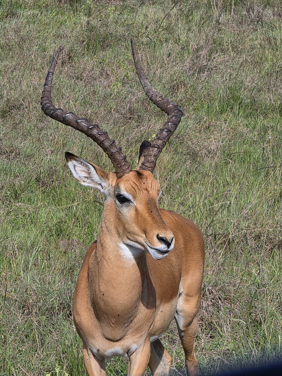 Izzi Boye tweet media