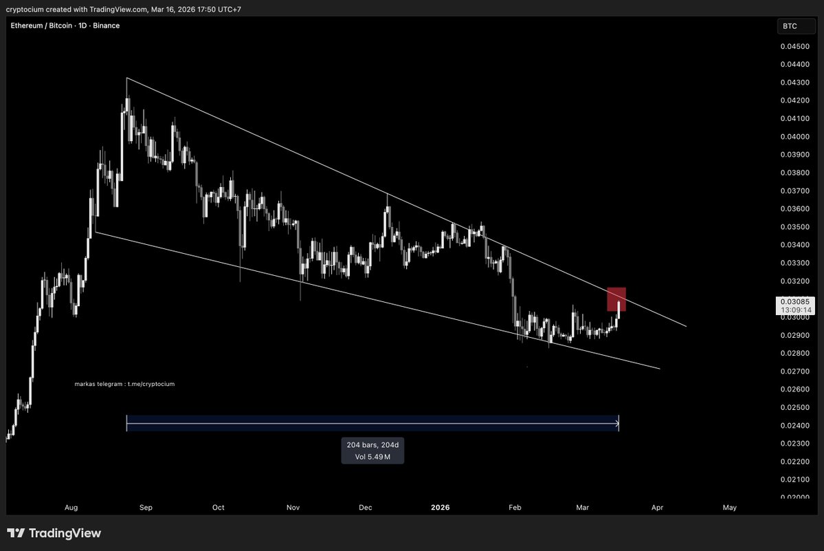 Cryptocium tweet media