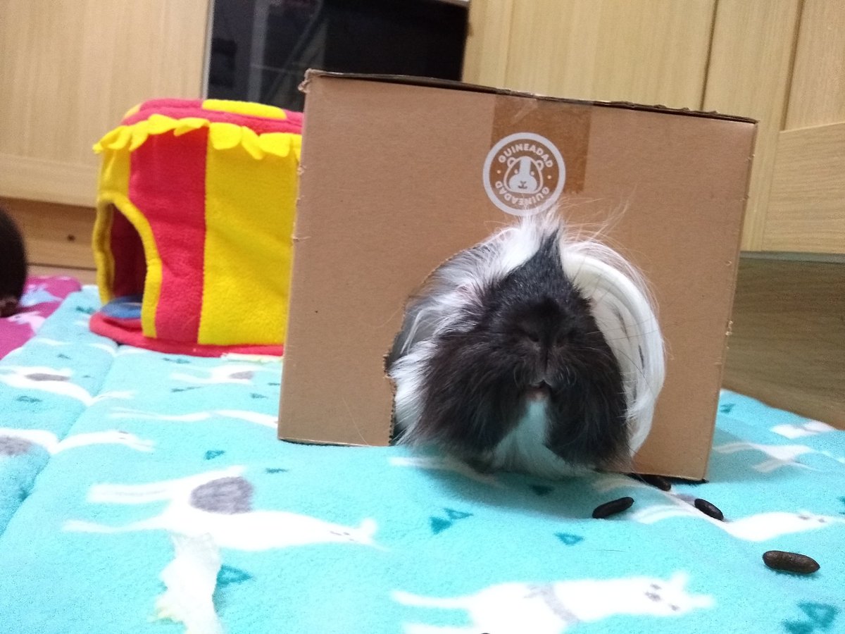 Barry Howells tweet media