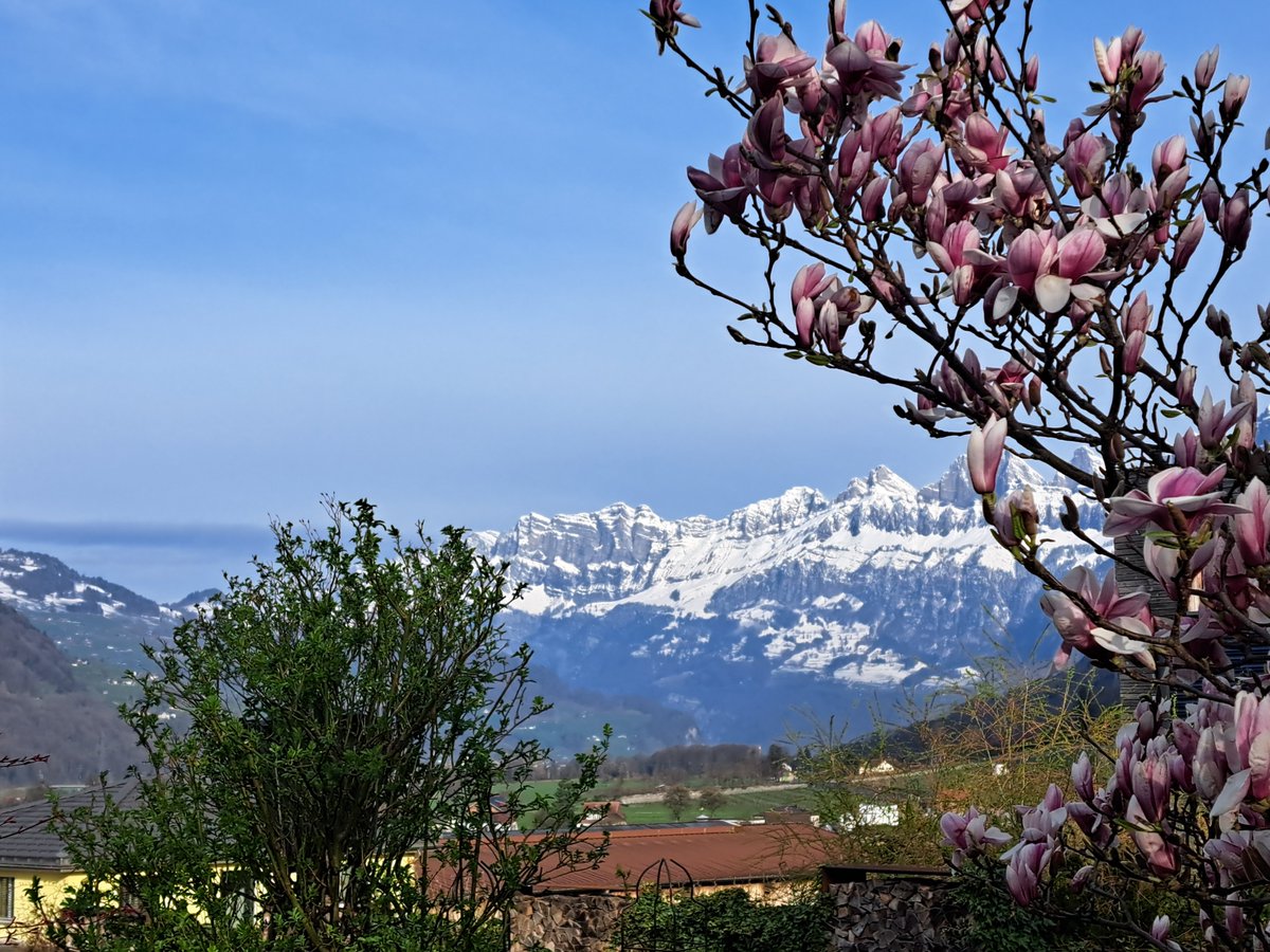 MeteoNewsAG's tweet photo. Der #Frühling unternimmt diese Woche einen weiteren (zwar etwas scheuen) Anlauf, vor allem von Dienstag bis Donnerstag gibt es im Einflussbereich eines #Hochdruckrückens trotz #Bise meist viel Sonne und frühlingshafte Temperaturen. #Wochenausblick: https://t.co/9FvYQIT4ns (rp) https://t.co/v3evTEH028
