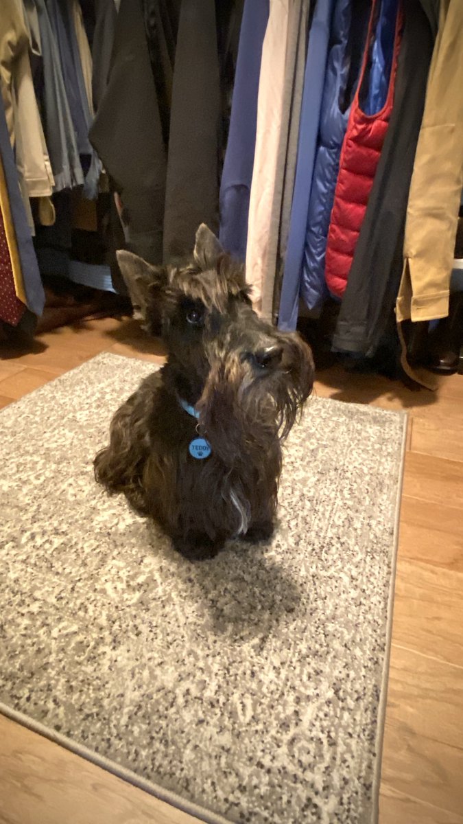 Dave Lucas tweet media