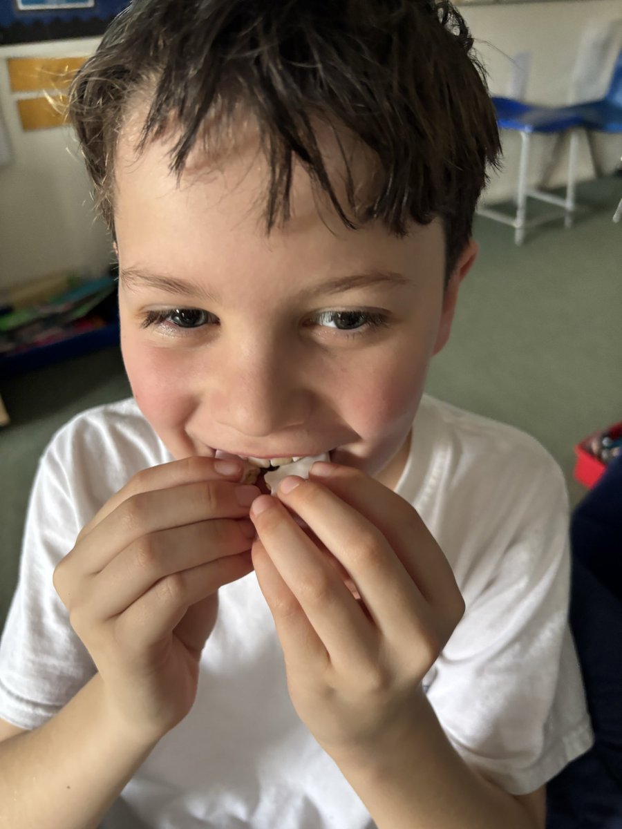 @Y4StMSch tweet media