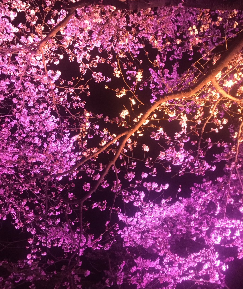 parliament19♨️ tweet media