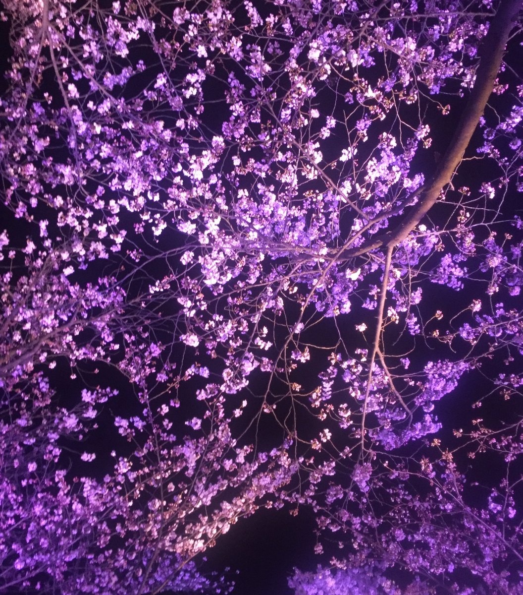 parliament19♨️ tweet media