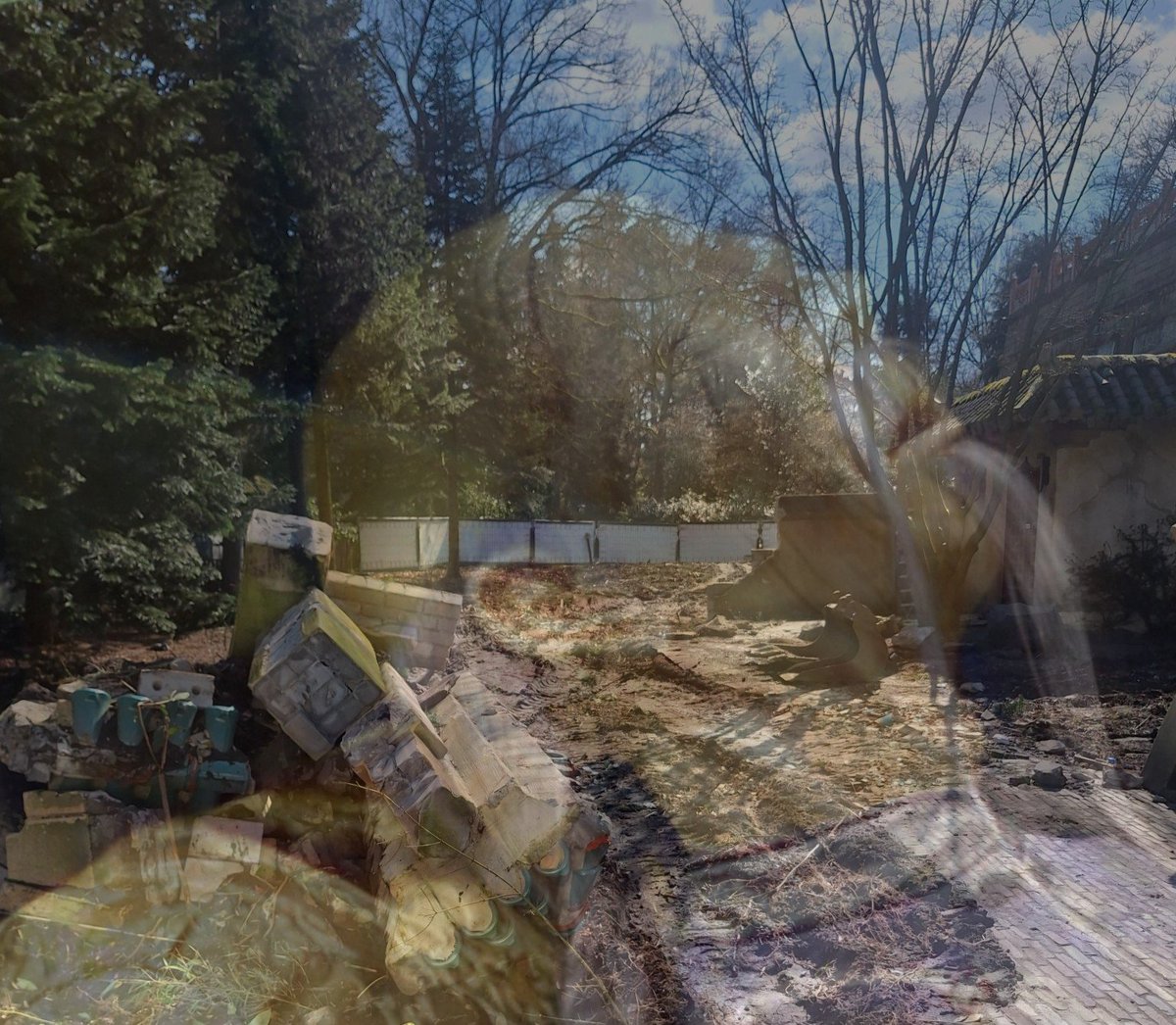 Debby van Berkel tweet media