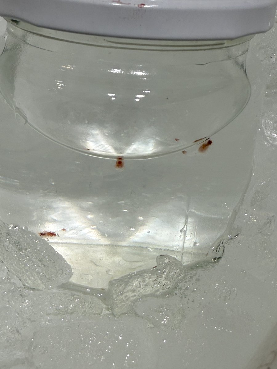 somali9/ヒザヤスメ・マルコ tweet media