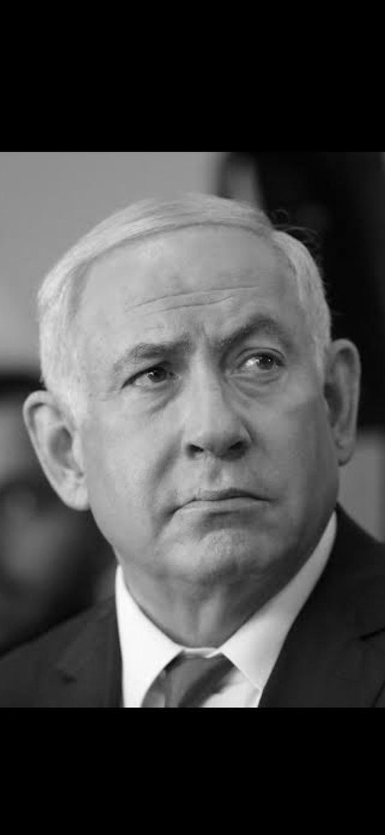 JohnnyNash tweet media