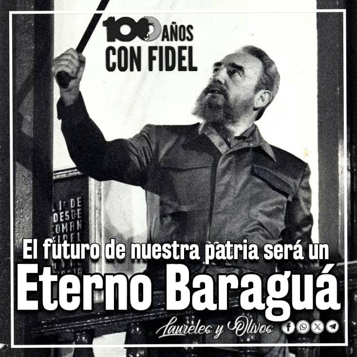 Colibrí tweet media