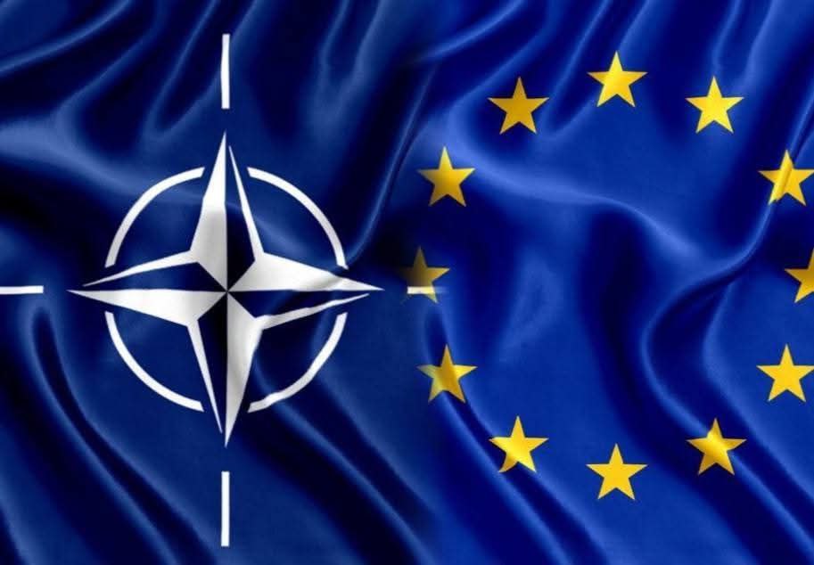 Danijela Rankovic tweet media