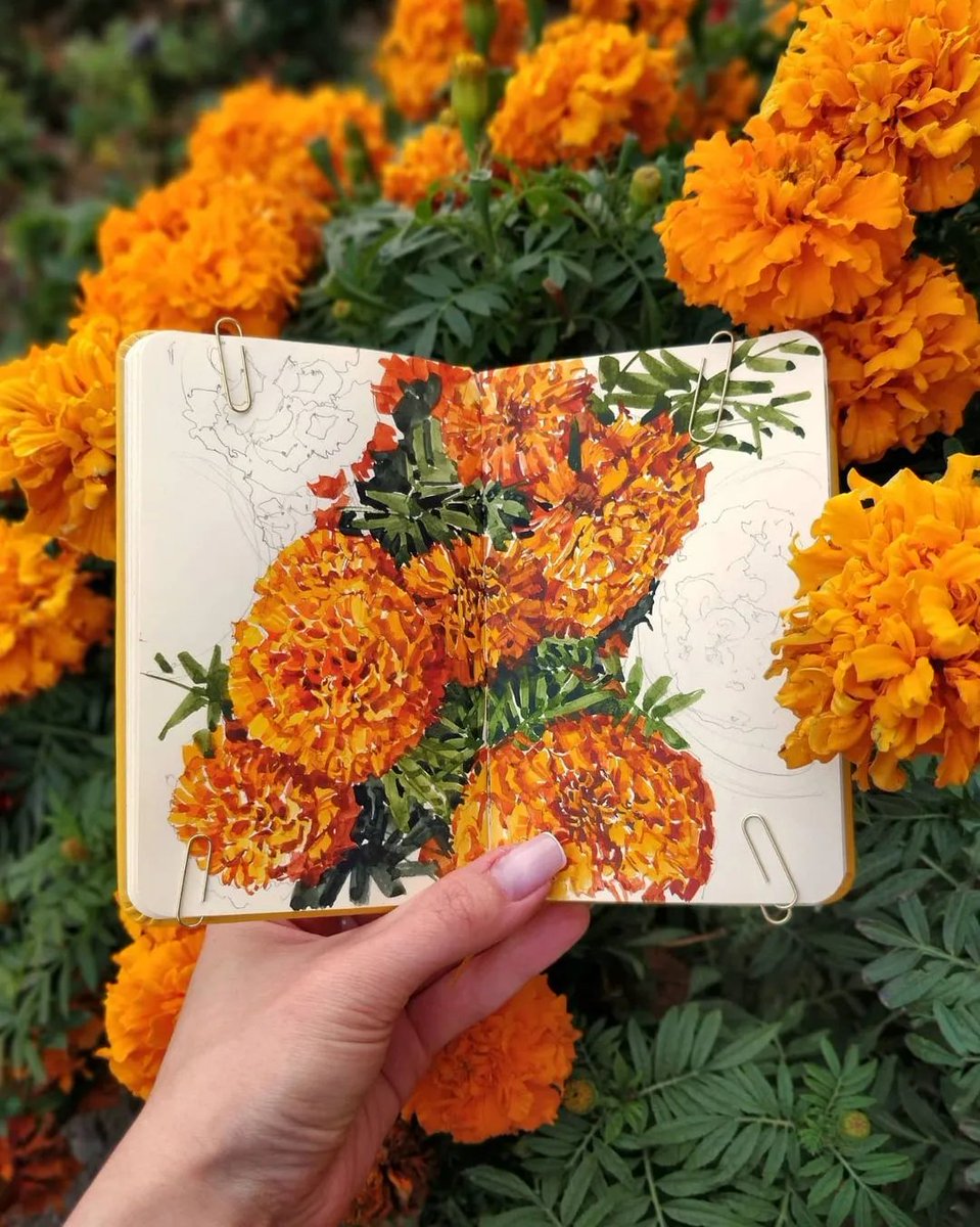 Slk-group tweet media