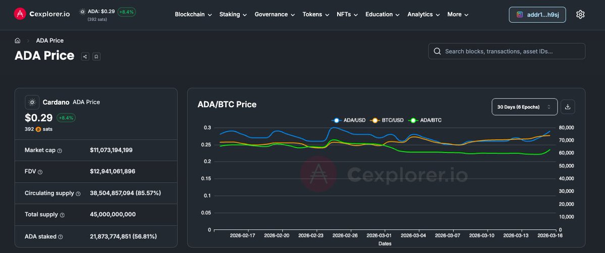 Cexplorer.io 🅰️ tweet media