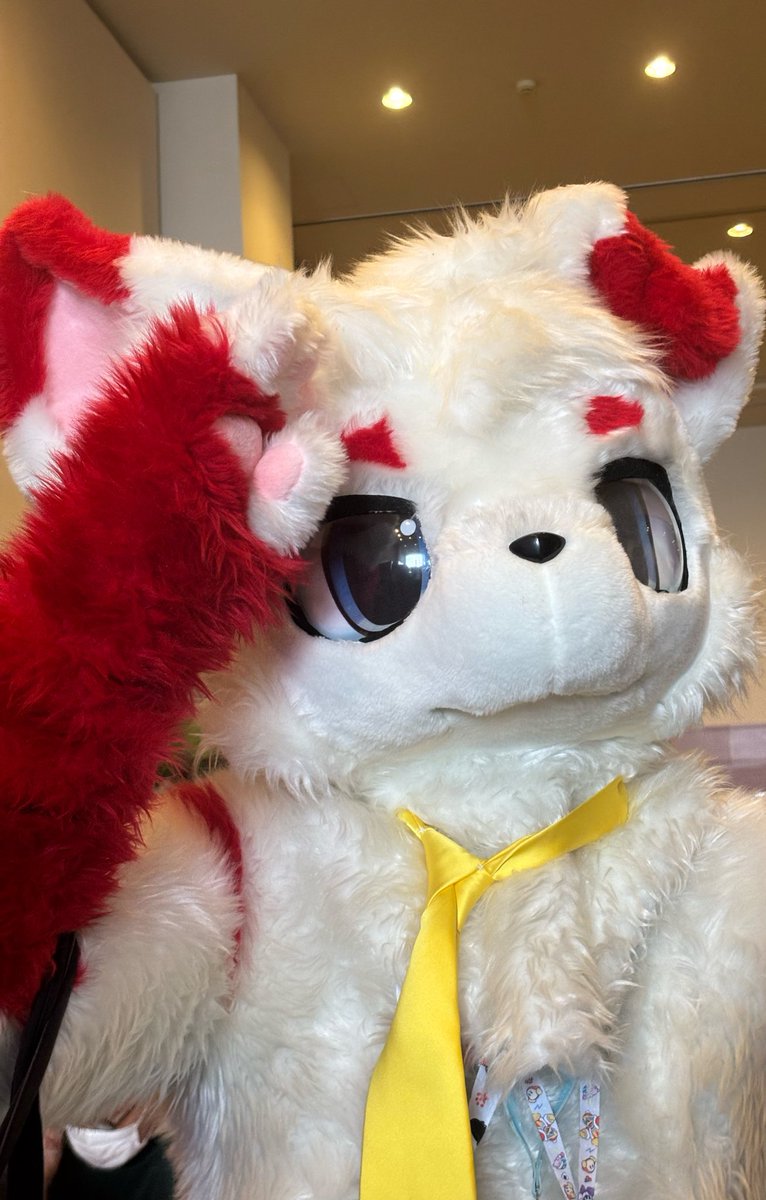 Mao(マオ)🔰→はつじゅー会16→ケモノスクエア(予定) tweet media