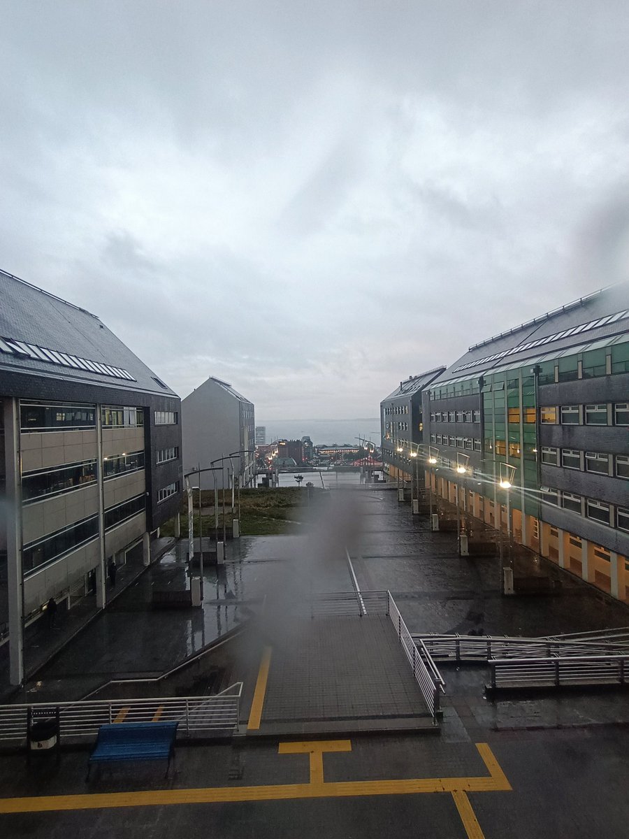 Prespita tweet media