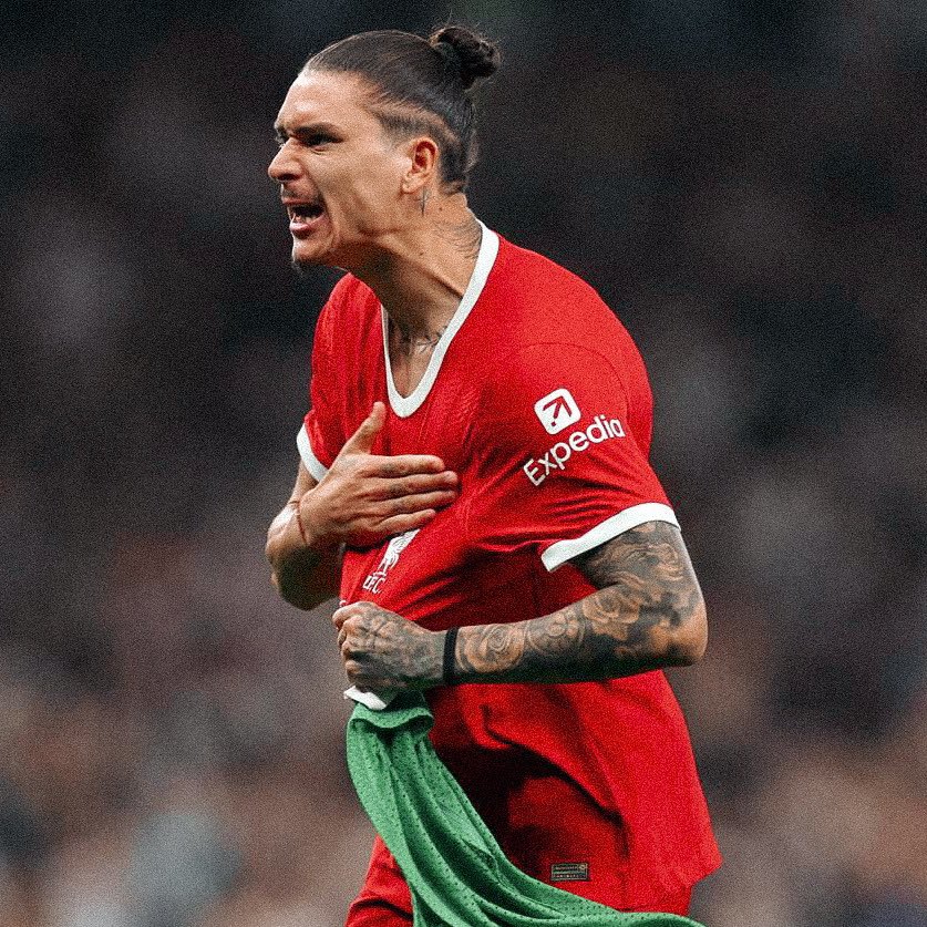 Gakpo Era 🇳🇱 tweet media