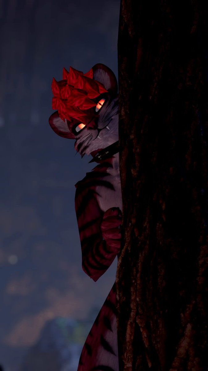 Tiger Lut tweet media