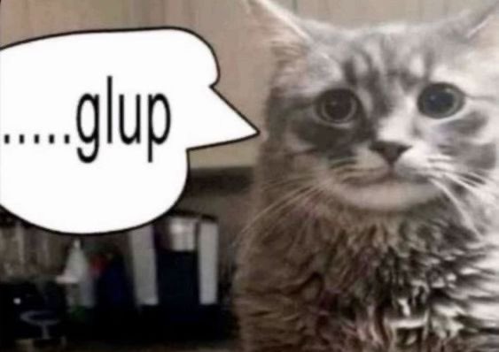 kei²⁶ 👩🏻‍💻 tweet media