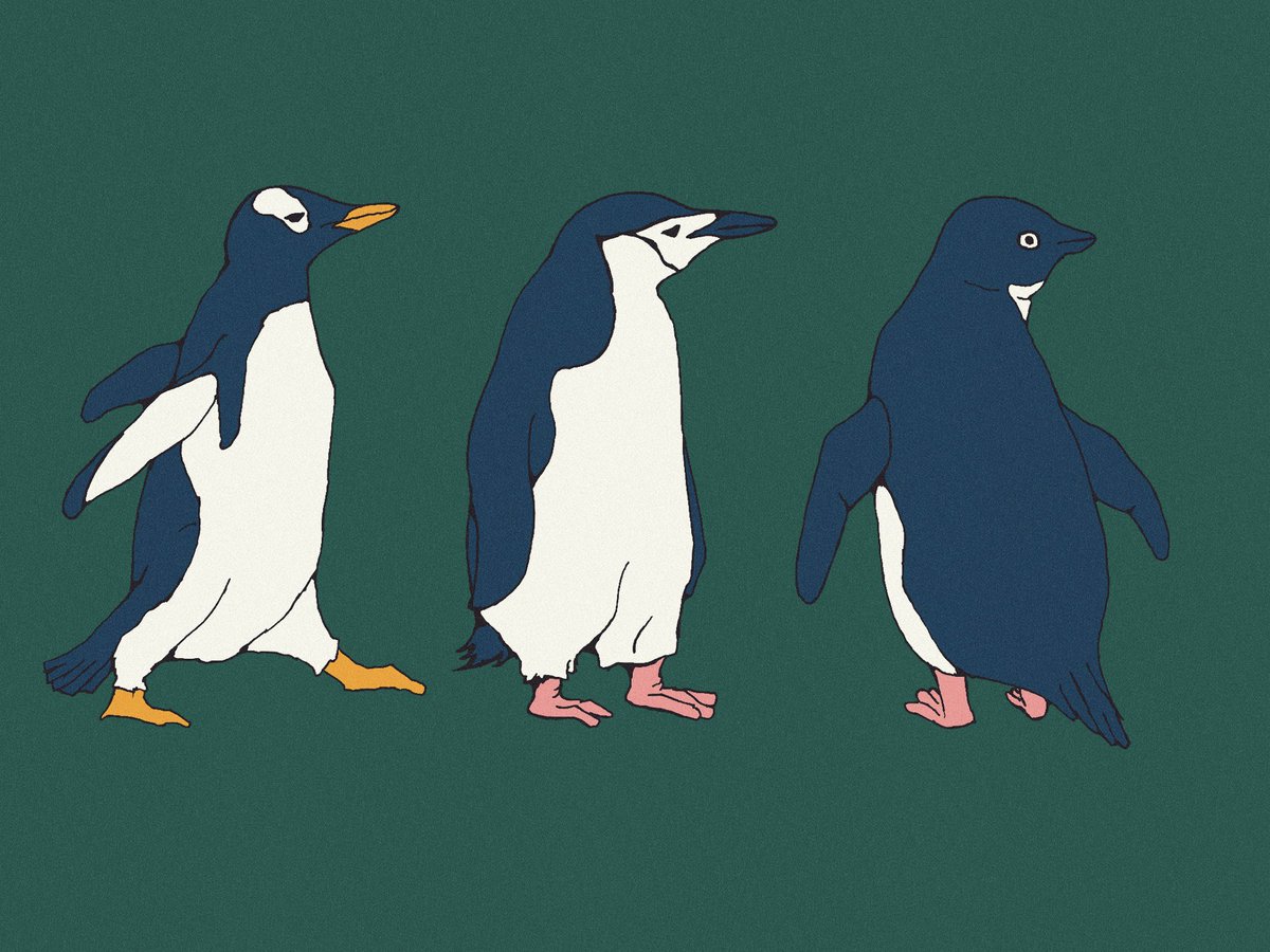 コマオマコ tweet media