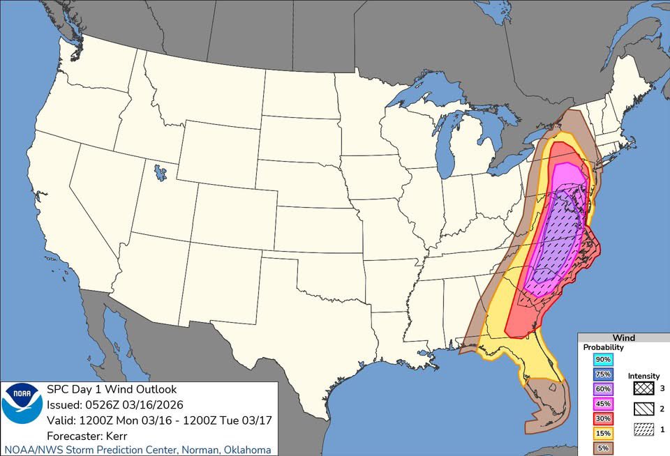 Mark Brady tweet media