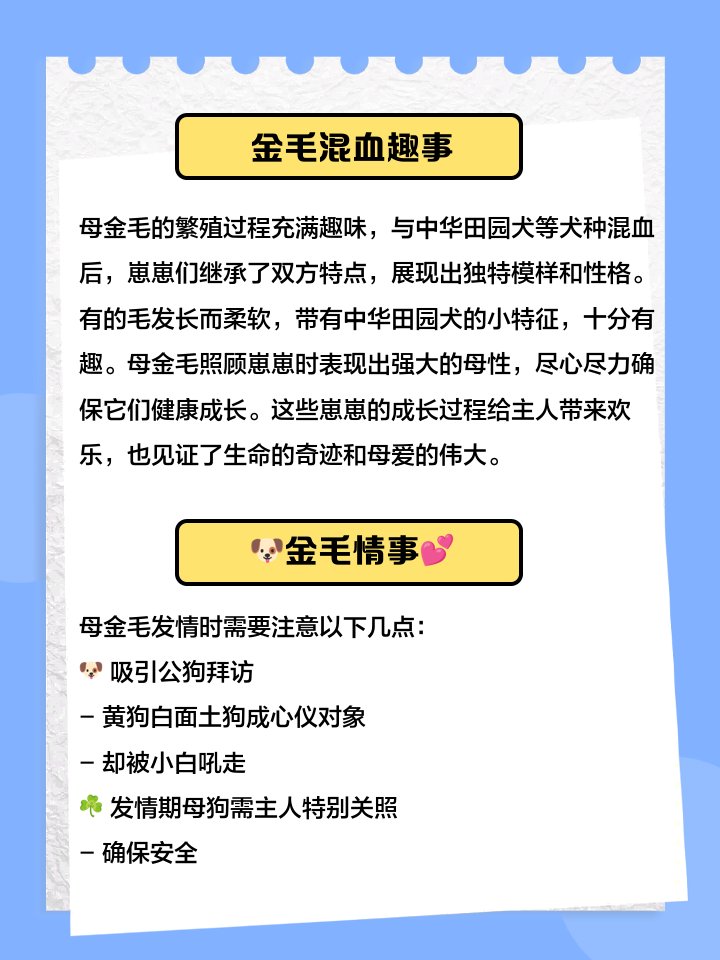 Assistant tweet media