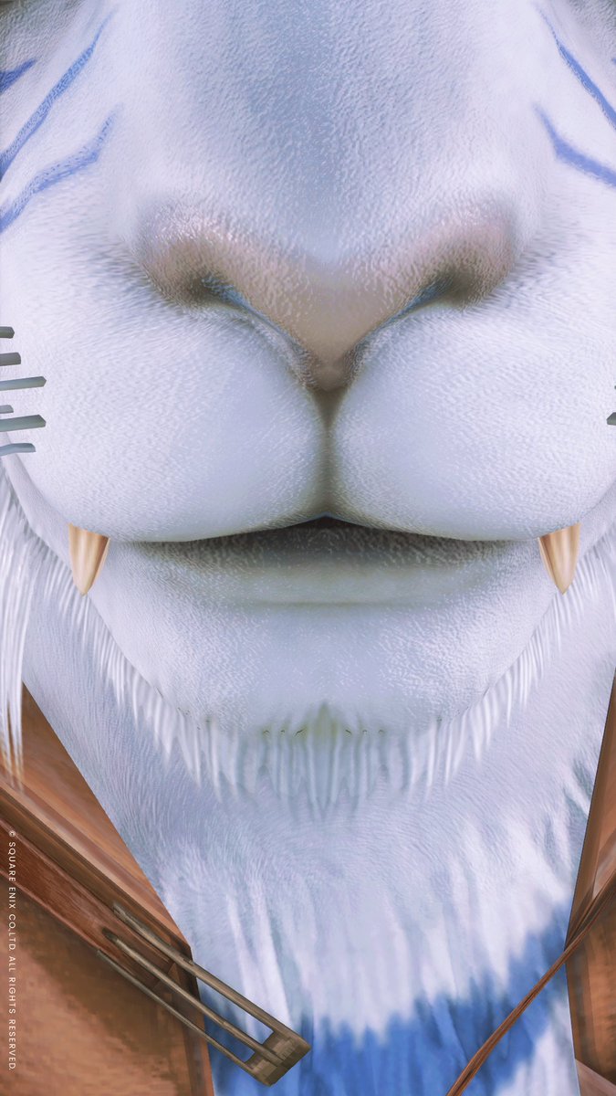 近いよ
#FF14 #ロスガル