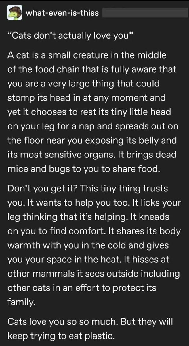 Eric Alper 🎧 tweet media