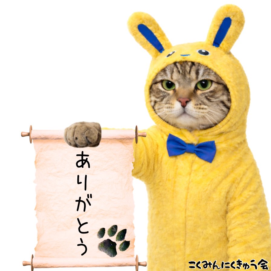 こくみんにくきゅう会Lab tweet media