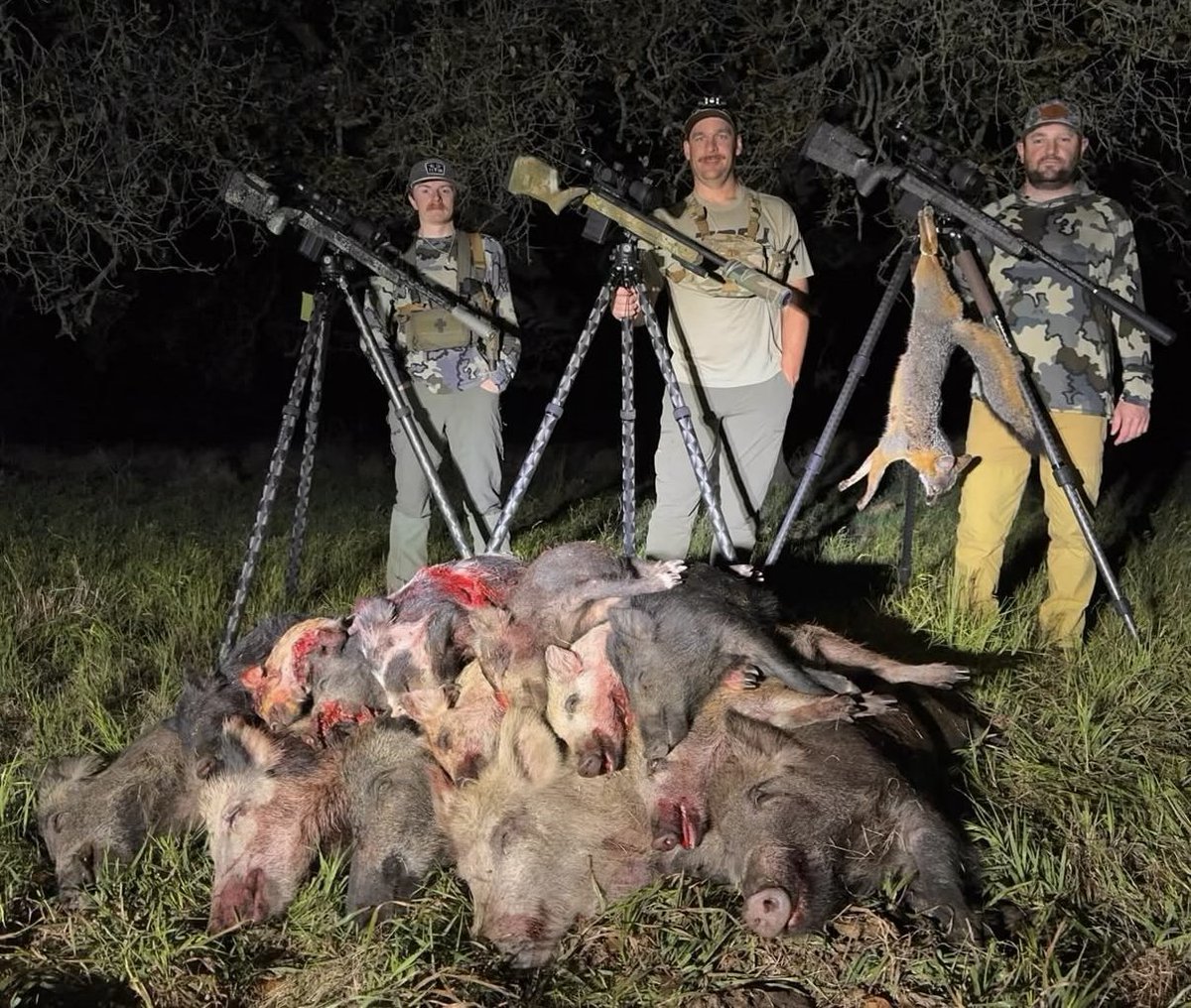 SPORTSMANchnl's tweet photo. "When all you want to do is hunt dogs but all you see is hogs 🤦🏻♂️shooters shoot!" - @olsens_outdoors
#ITSINOURBLOOD #outdoors #hunting #wildboar #pighunting #boarhunting https://t.co/6LCXqsQdjZ