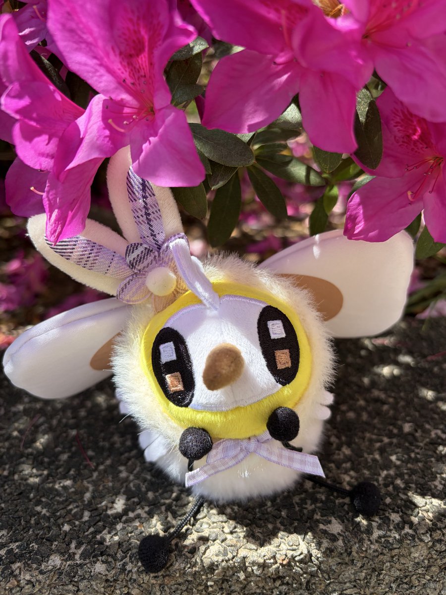 meniusaa's tweet photo. アブリーはお花を眺めている、リラックス見たいですね～🌸
 #ポケモンfit https://t.co/JNpQfRPnVl